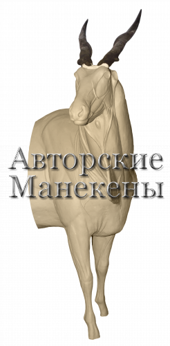 Манекен иланд (канна) ИЛДМ-1 П 1/2
