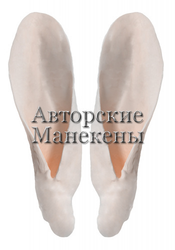 Уши коза домашняя крупный