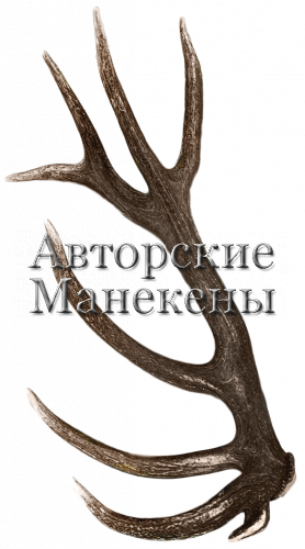 Рог олень благородный №1