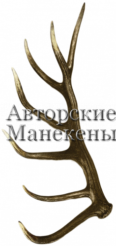 Рог олень благородный №9