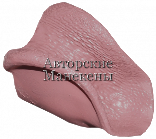 Язык рысь ЯРС-3