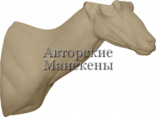 Манекен уриал Бланфорда УРБТ-1 П