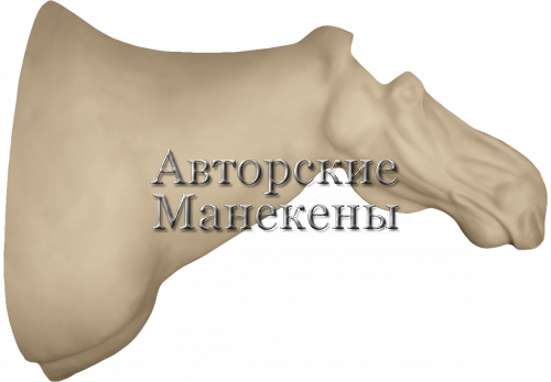 Манекен лось европейский ЛСЕТ-2-1