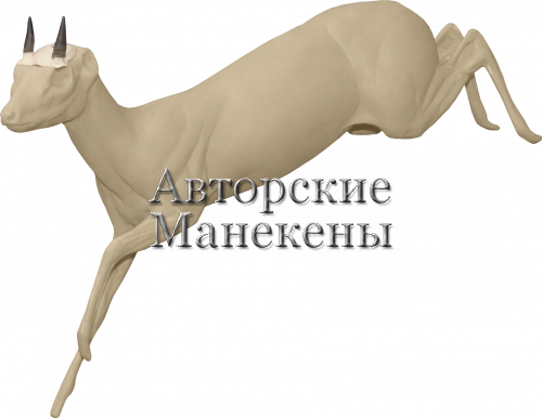 Манекен грисбок ГРСМ-1 Л