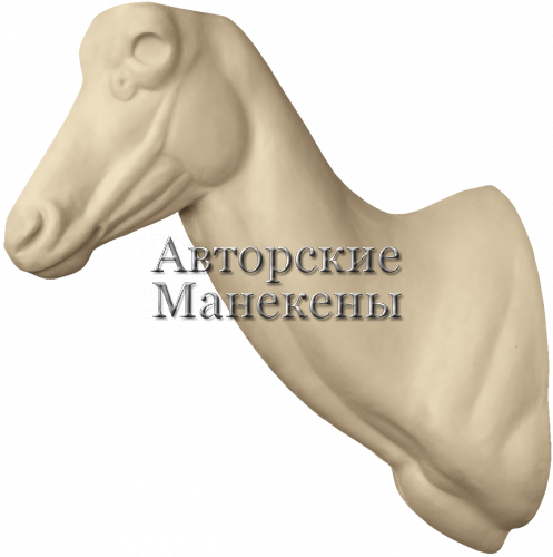 Манекен блесбок (бубал) БЛБТ-1