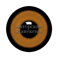 Глаза ястреб-перепелятник (взрослый)
