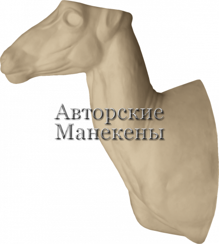 Манекен баран Марко-Поло БМПТ-3