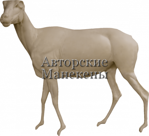 Манекен баран Марко-Поло БМПМ-1 Л