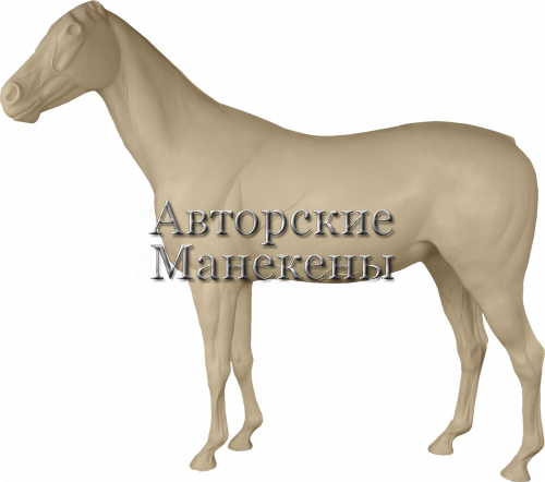 Манекен лошадь ЛОШМ-1 Л