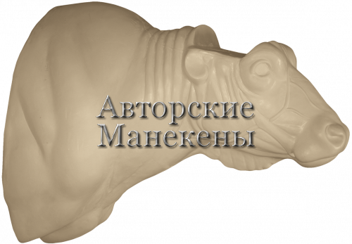 Манекен буйвол капский БФЛТ-4