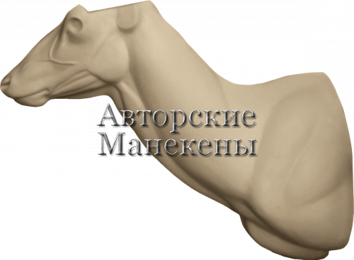 Манекен олень благородный ОЛБТ-7