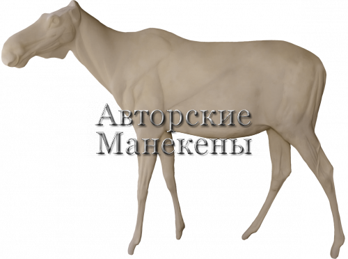 Манекен лось европейский ЛСЕМ-1 Л