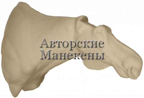 Манекен лось камчатский ЛСКТ-3