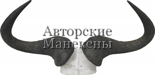 Рога гну голубой на лобовине