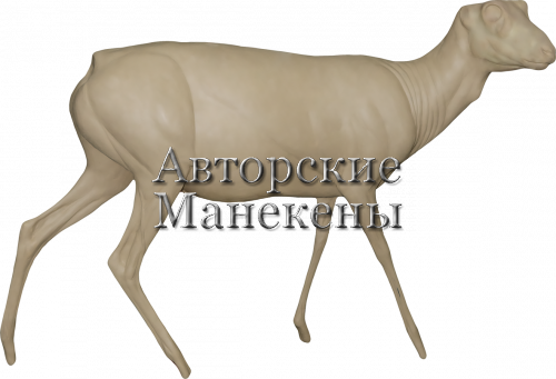 Манекен джейран ДЖРМ-1 П