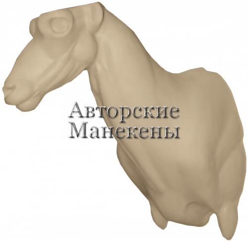 Манекен козерог испанский (бисайт) КЗИТ-3 П
