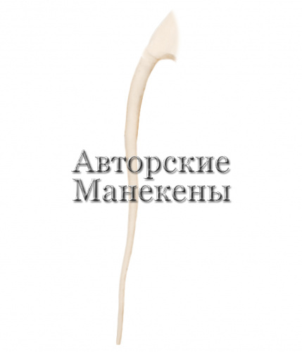 Хвост жираф