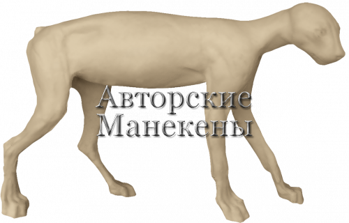 Манекен рысь европейская РЫСМ-1 П