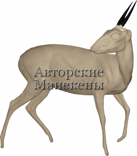 Манекен дукер кустарниковый (обыкновенный) ДУКМ-2 П
