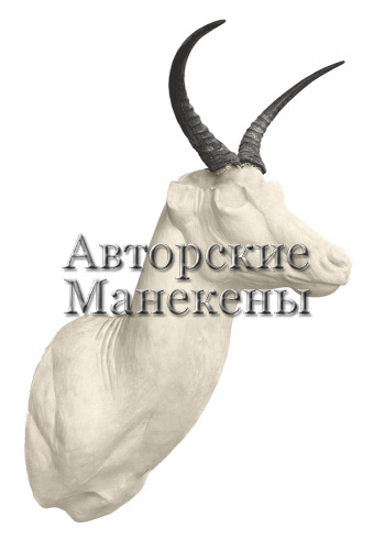 Манекен ридбок обыкновенный РИОТ-2