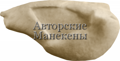 Манекен журавль серый ЖУРМ-1 Т