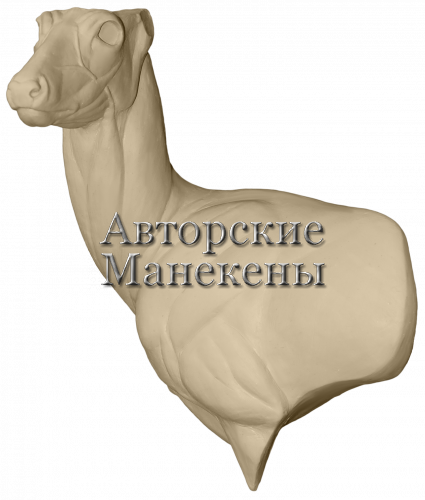 Манекен косуля сибирская КССТ-8 Л