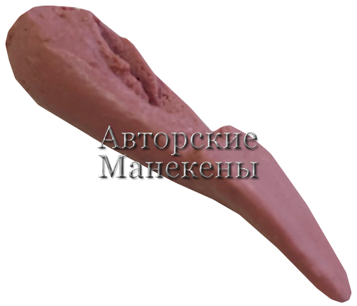 Язык тетерев ЯТТ-1