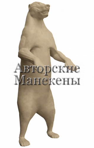 Манекен медведь бурый МДВМ-13