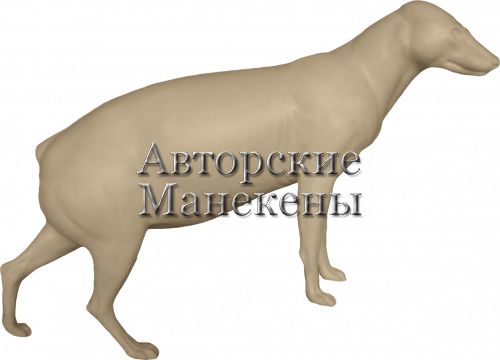 Манекен енотовидная собака ЕНТМ-4 П