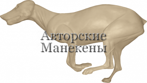 Манекен волк европейский ВЛКМ-8 Л