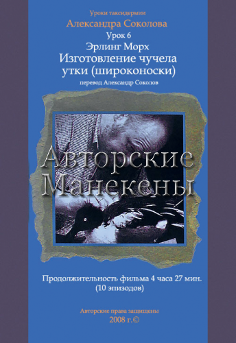 Видеоурок №6 "Изготовление чучела утки (широконоски)"