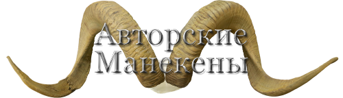 Рога баран Марко-Поло с лобовиной