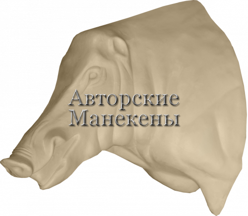Манекен кабан КБНТ-13 Л