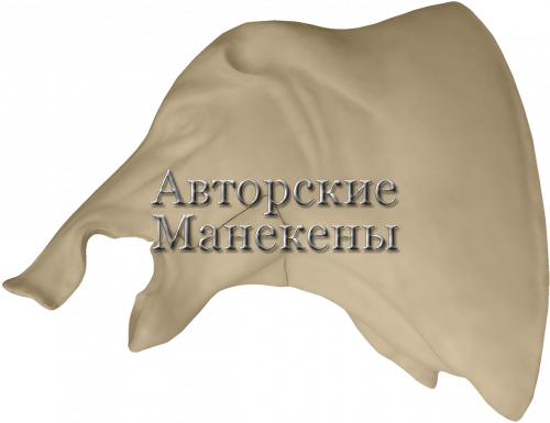 Манекен кабан КБНТ-2