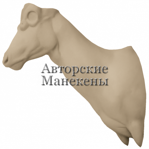 Манекен блесбок (бубал) БЛБТ-2