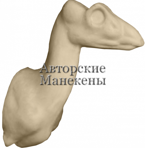 Манекен дик-дик ДДКТ-1 Л
