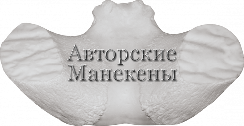 Лобовина баран Марко-Поло