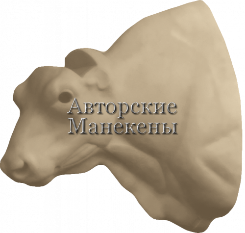 Манекен зубр ЗБРТ-1