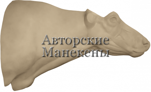 Манекен буйвол лесной БУЛТ-1
