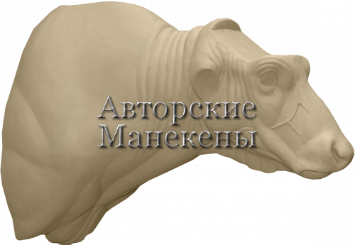 Манекен буйвол капский БФЛТ-5