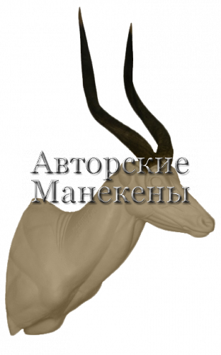 Манекен ньяла НЯЛТ-3 П