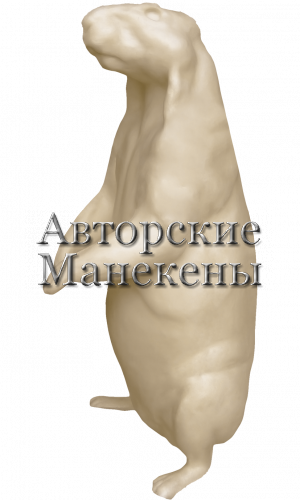 Манекен сурок СУРМ-3