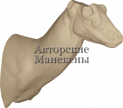 Манекен гарна (блэкбак) ГАРТ-1
