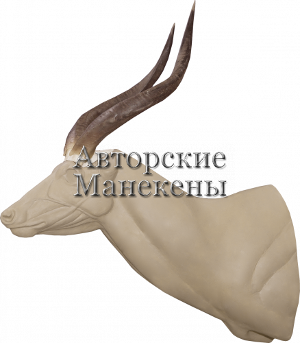 Манекен ситатунга СТГТ-1