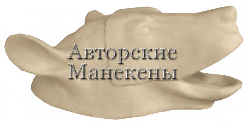 Манекен медведь бурый МДВК (с ушами)