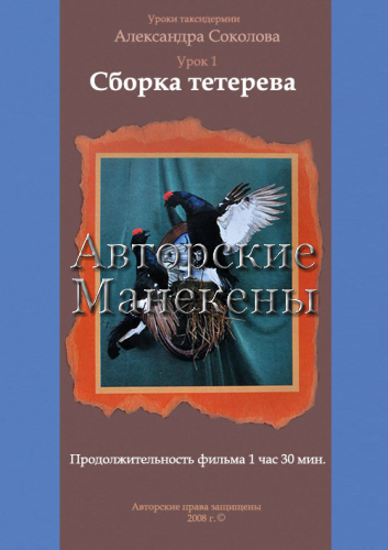 Видеоурок №1 "Сборка тетерева"