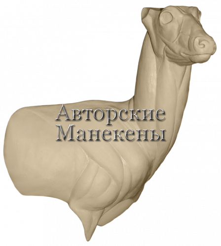Манекен косуля сибирская КССТ-9 П