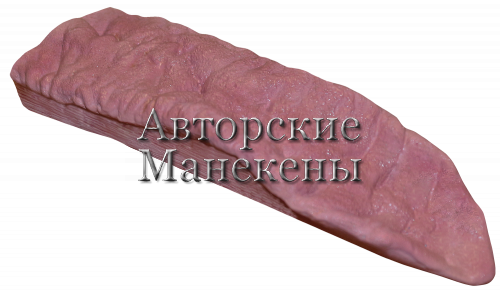 Язык кабан ЯКБ-1