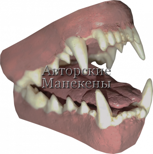 Комплект харза