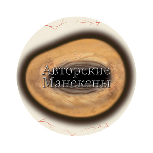 Глаза коза домашняя "Мастер" (светлые)